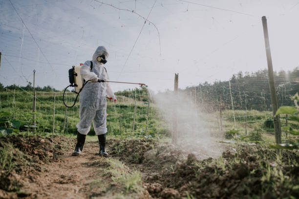 Best Mosquito Control Services  in Viola, NY