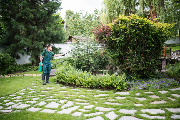 Best Pest Inspection Near Me  in Viola, NY