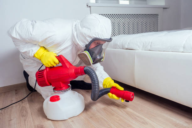 Best Best Pest Control Companies  in Viola, NY