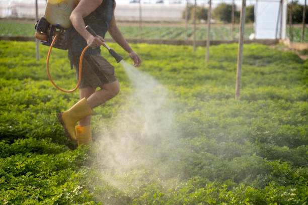 Best Commercial Pest Control Services  in Viola, NY