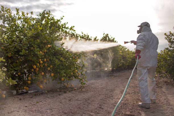 Best Pest Control Near Me in Viola, NY