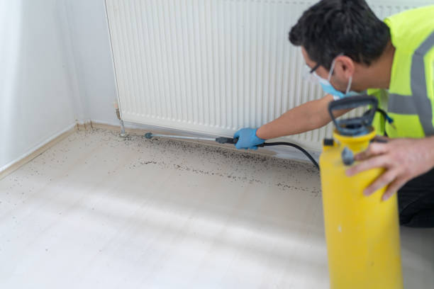 Best Affordable Pest Control Services  in Viola, NY