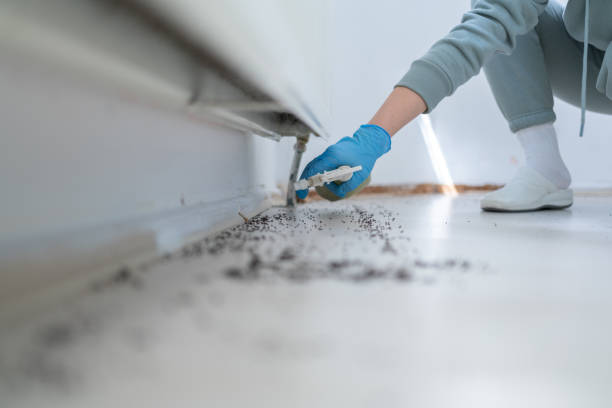 Pest Control Cost in Viola, NY
